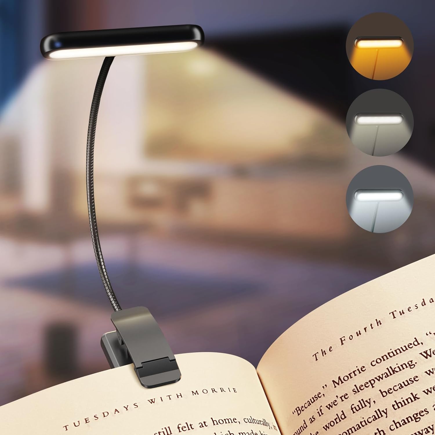 Photography Lighting Book - LED Kitap Işık Okuma Işığı Göz